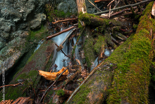 Small cascades in the Slovak Paradise National Park