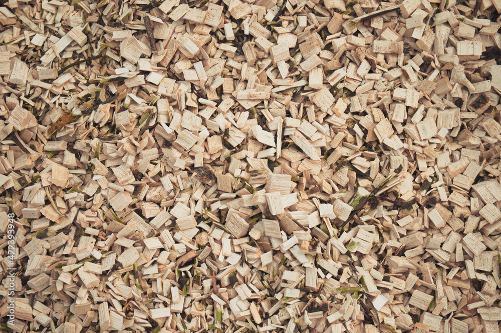 Abstract natural background of wood chips. Wood waste from sawmill. Abstract natural background of wood chips. Wood waste from sawmill.