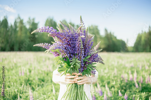 A hippy girl holding bouquet of wildflowers in her hands. Girl hid her face behind bouquet of lupins. Girl holds large bouquet of purple lupins in a flowering field. Nature concept. Present