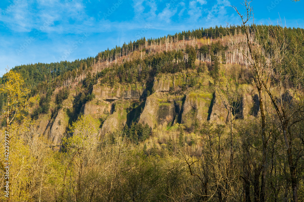 Naklejka premium Columbia River Gorge Cliffs as Seen From Corbett View Point Tunnel Point
