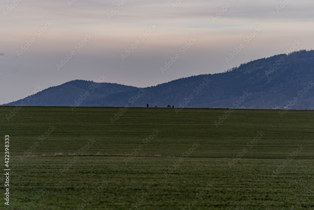 Fototapeta premium View of a grassy meadow with mountains on the horizon