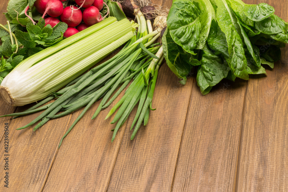 Celery stems and green onions with roots and soil. Lettuce leaves romaine. Celery stems and green onions with roots and soil. Lettuce leaves romaine.