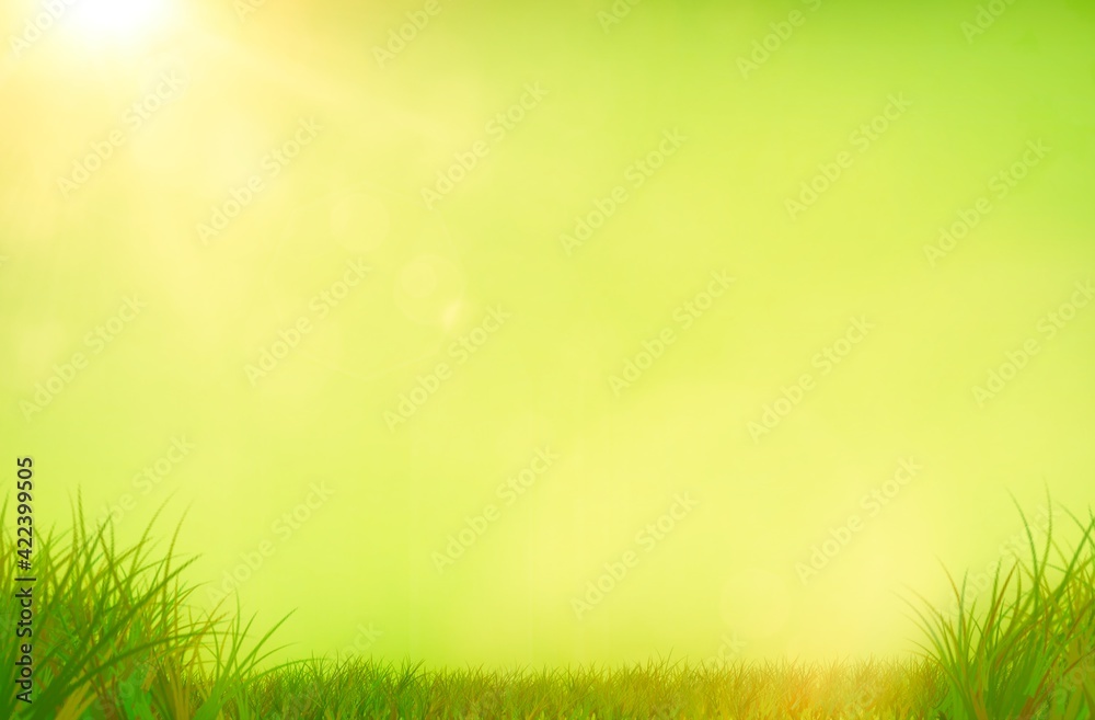 Gras mit Gelben Hintergrund