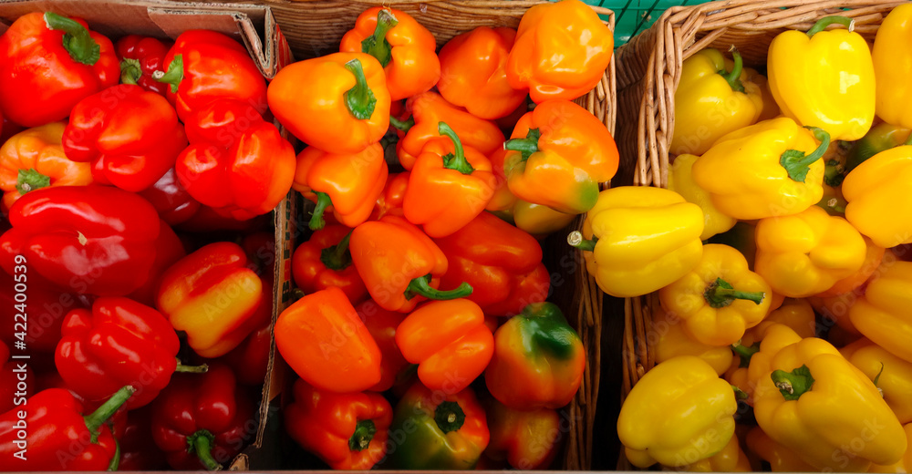red yellow orange sweet pepper red yellow orange sweet pepper
