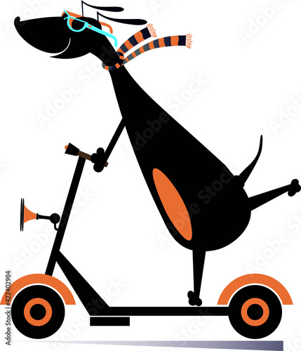 Cartoon dog rides on scooter isolated illustration. 
Dachshund riding ecologically clean urban vehicle isolated on white
