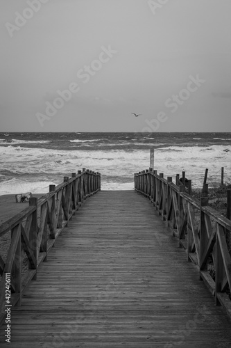 jetty view in black and white.