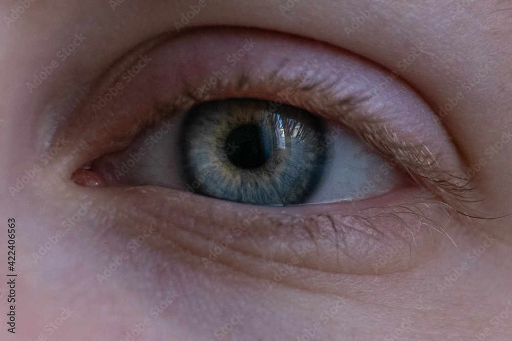 Fototapeta premium Close up girl's blue eye