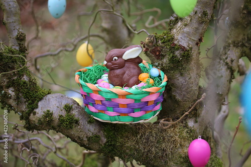 Verstecktes Osterkörbchen mit einem Schokoladenosterhasen