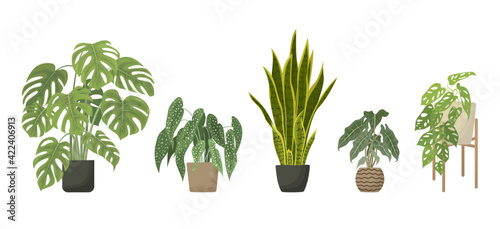 Decorative Green House plants set. Cute Indoor flower pot collection for home and office decoration. Tropical houseplants for interior. Flat Cartoon Vector illustration isolated on white background
