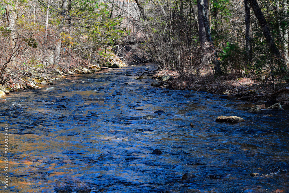river traveling through the forest of new england river traveling through the forest of new england