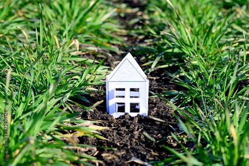 Paper house in a field among winter wheat concept of building and starting life, sunny spring day.