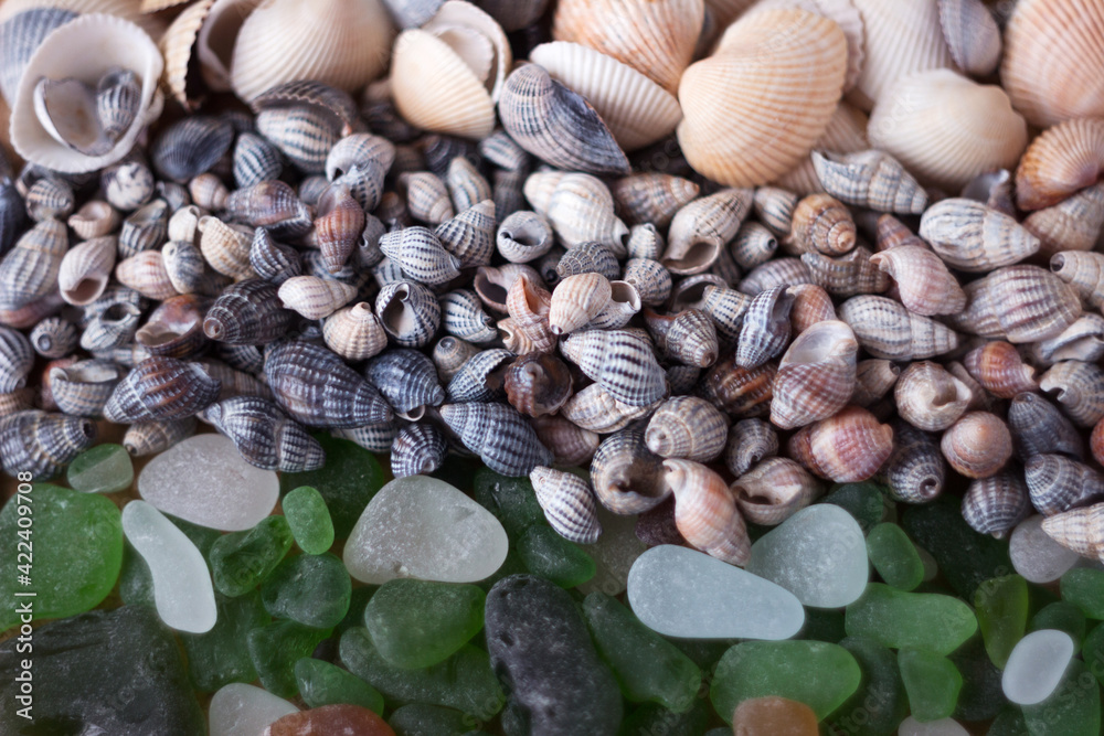 White and green sea glasses, shells of different types. Sea background White and green sea glasses, shells of different types. Sea background