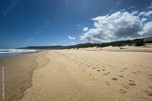 Scenic view of beach in Nature’s Valley, South Africa.