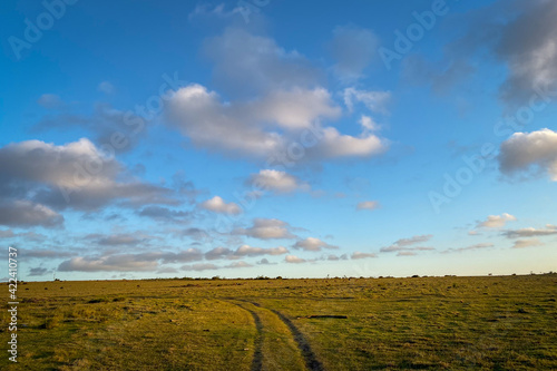 Fototapeta Naklejka Na Ścianę i Meble -  Scenic view at South African savanna .