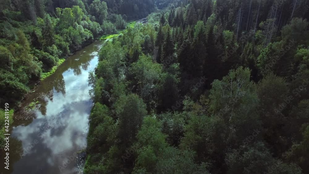 Bird's-eye view of a river and green forests. Flying above curved river surrounded by green forest. Bird's-eye view of a river and green forests. Flying above curved river surrounded by green forest.