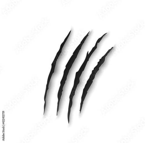 Tiger claw marks, scratches, predator nails vector trail. Wild animal talon rips, bear or cat paws sherds on white background. Lion, monster, dragon or beast break traces, realistic 3d marks on paper