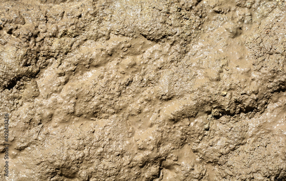 Dirty Mud texture or wet gray soil as natural background.