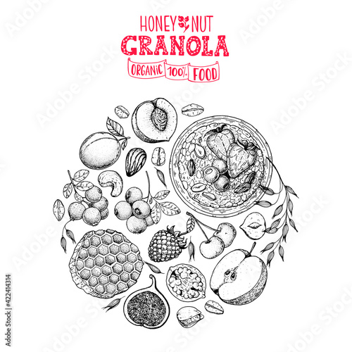 Granola sketch illustration. Breakfast label. Oat flakes , berries, fruits and nuts. Breakfast top view frame. Morning food menu design. Hand drawn sketch vector illustration.