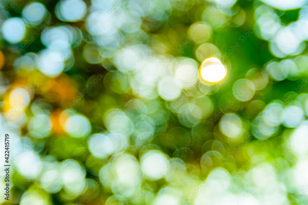 Abstract and defocused bokeh background. Ecological concept Abstract and defocused bokeh background. Ecological concept
