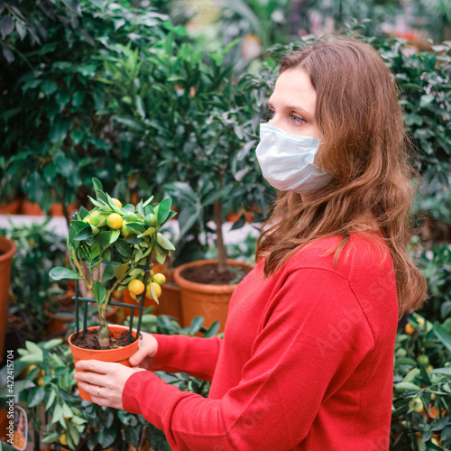 Adult woman in face mask looks at citrofortunella citrus tree in store. Buying indoor plants for home gardening with coronavirus quarantine photo