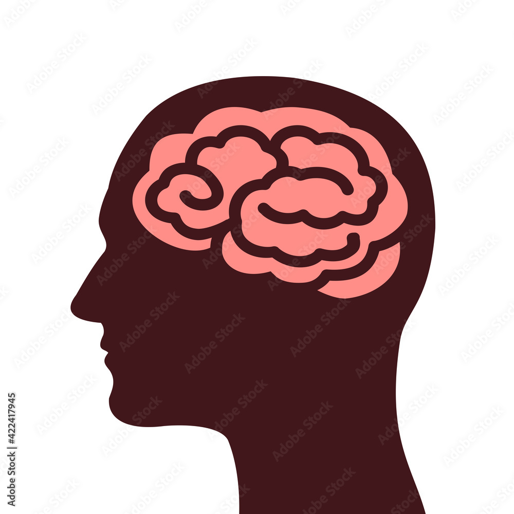 Head with human brain. Organ of thinking and intellect. Vector illustration isolated on white. Head with human brain. Organ of thinking and intellect. Vector illustration isolated on white.