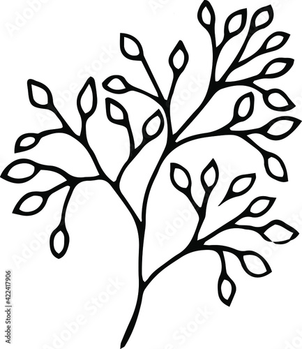 Ink sketch of meadow herb. Can be used for logo design or any other minimalist design in ecologic style. Vector illustration
