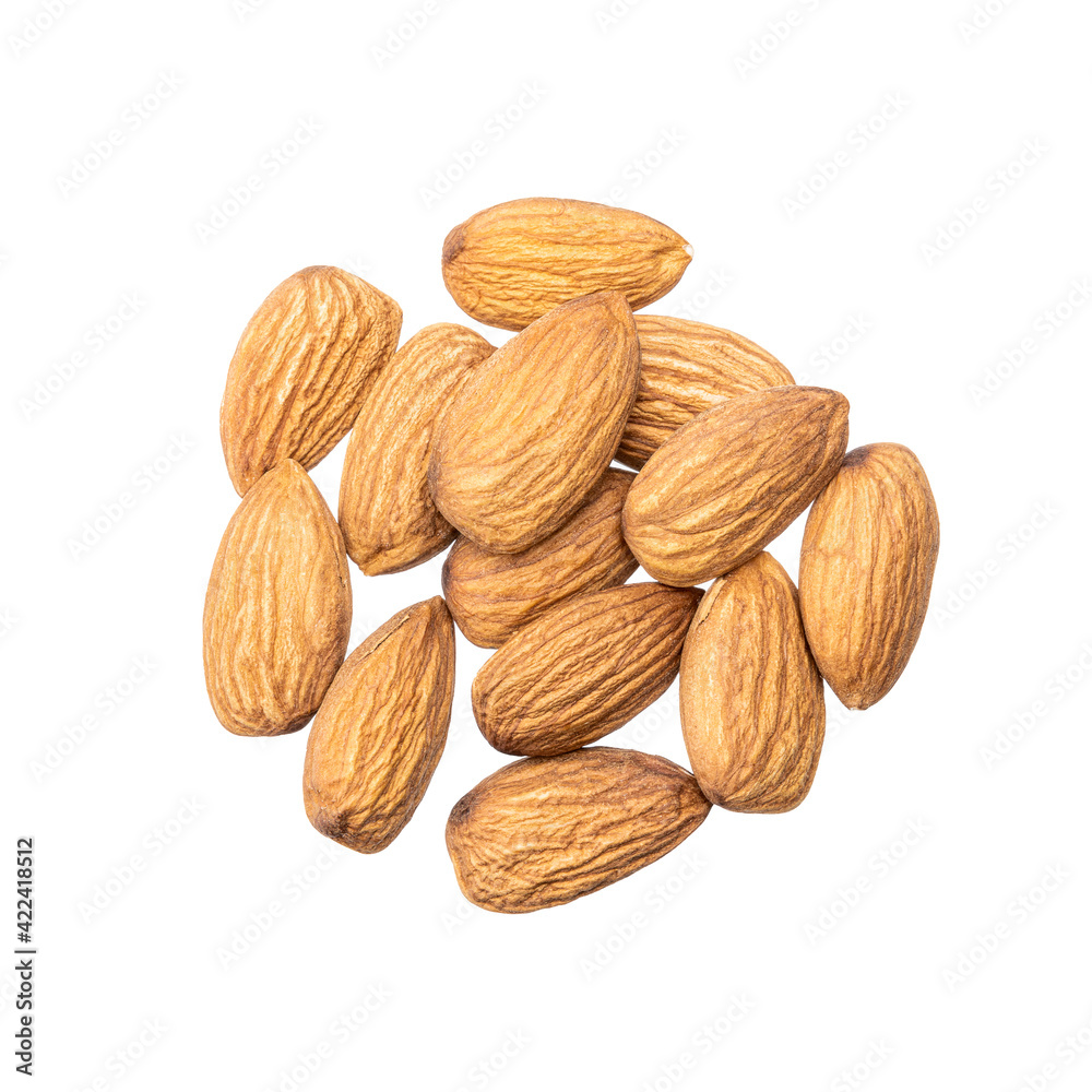 almond nut isolated on white background. prunus dulcis cut out almond nut isolated on white background. prunus dulcis cut out