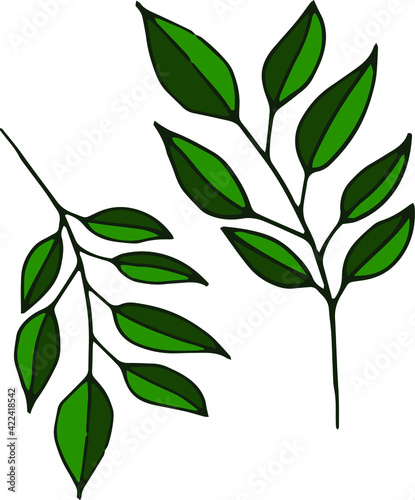 Green silhouettes of two twigs with leaves. Sim`ple vector illustration in modern minimalist style. Good for logo design, packaging design.