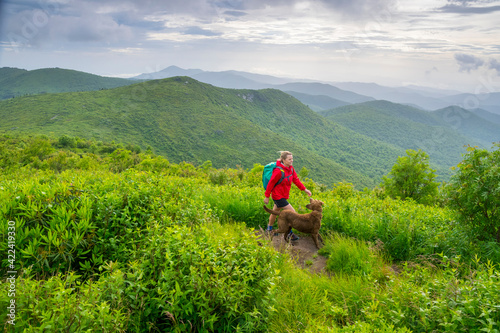 A woman and her dog hiking along the Art Loeb Trail over Black Balsam Knob, Pisgah National Forest, Brevard, North Carolina.