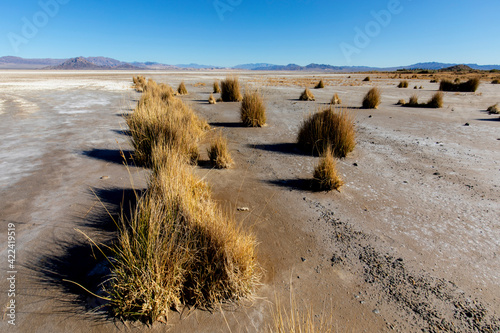 Mojave National Preserve, California: Playa and formations along Zzyzx Road entrance. photo