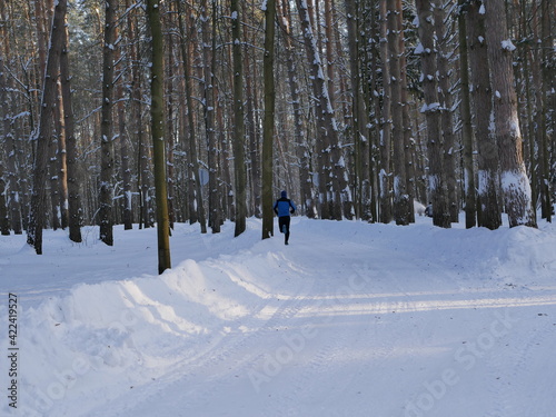 A young man is jogging in the winter in a country park. Maintaining a healthy lifestyle. Running among the pines.