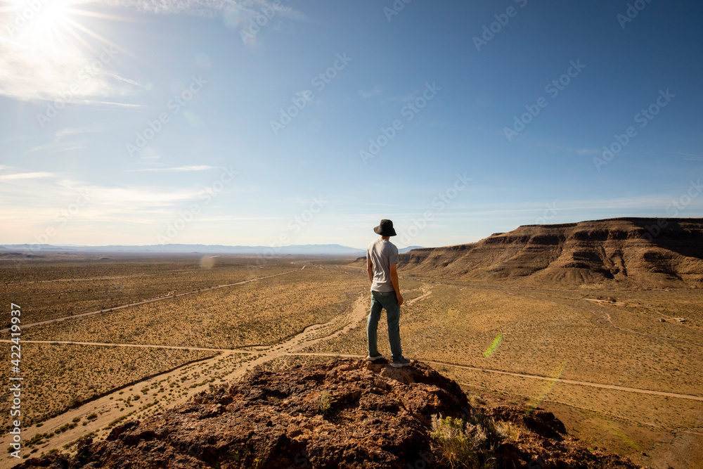 Mojave National Preserve, California: Atop a short hike near the Ring Loop Trail and Hole in the Wall campground. 
