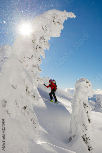 A man backcountry skiing the Bonnington Traverse, Selkirk Mountains, Columbia Mountains, Nelson, British Columbia. photo