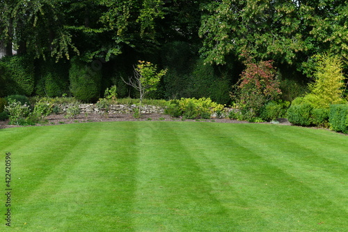 garden lawn