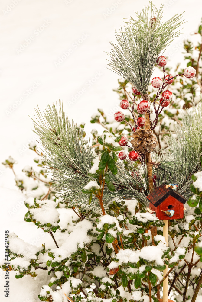 Simple snow scene with natural fallen snow on azalea bushes with fake pine branches, cone, berries and two birds sitting on a tiny red birdhouse Simple snow scene with natural fallen snow on azalea bushes with fake pine branches, cone, berries and two birds sitting on a tiny red birdhouse