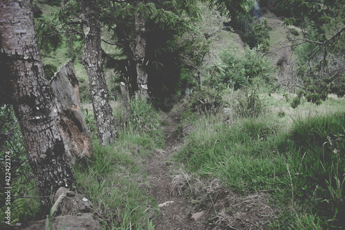 Obraz na plátně Camino andante