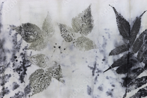 Картината върху платно detail of black imprint of natural leaves on a cotton fabric