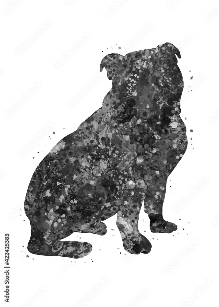 English Bulldog Puppy Dog black and white watercolor, abstract painting. Watercolor illustration rainbow, colorful, decoration wall art. English Bulldog Puppy Dog black and white watercolor, abstract painting. Watercolor illustration rainbow, colorful, decoration wall art.