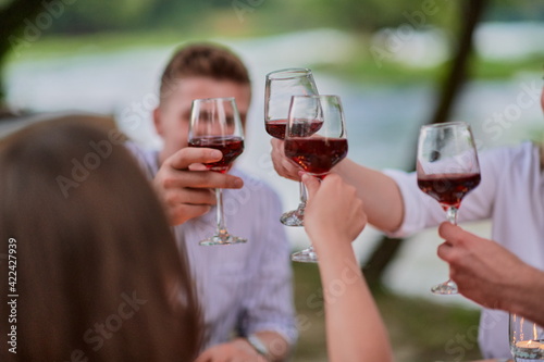 friends toasting red wine glass while having picnic french dinner party
