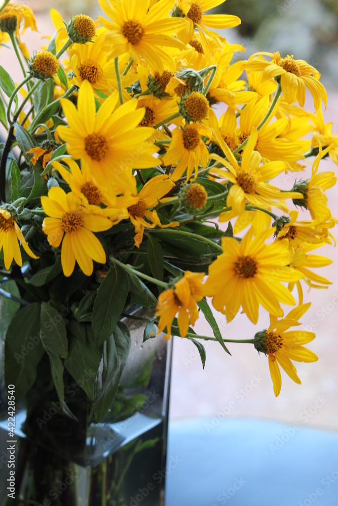 Ramo de margaritas amarillas Stock Photo | Adobe Stock