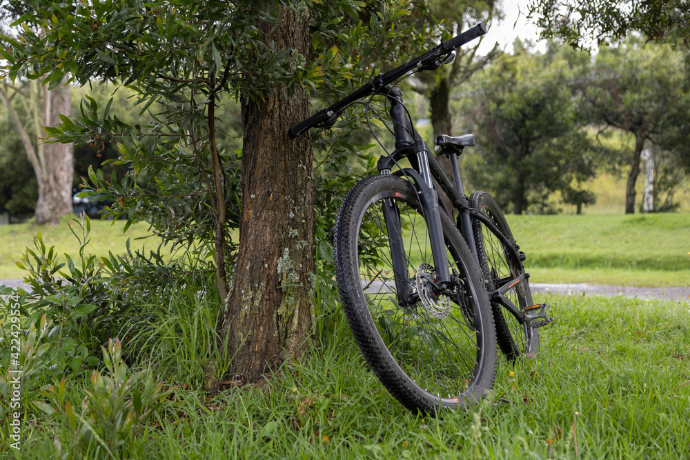 metal bicycle leaning against a leafy tree in a park, means of transport in a park