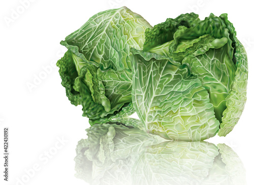 Two heads savoy cabbage