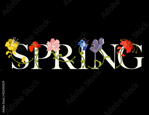 Spring Serif Horizontal (Dark Background)