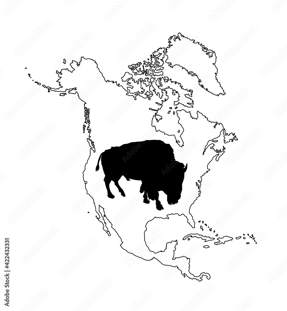 Bison vector silhouette illustration isolated on Northern America map