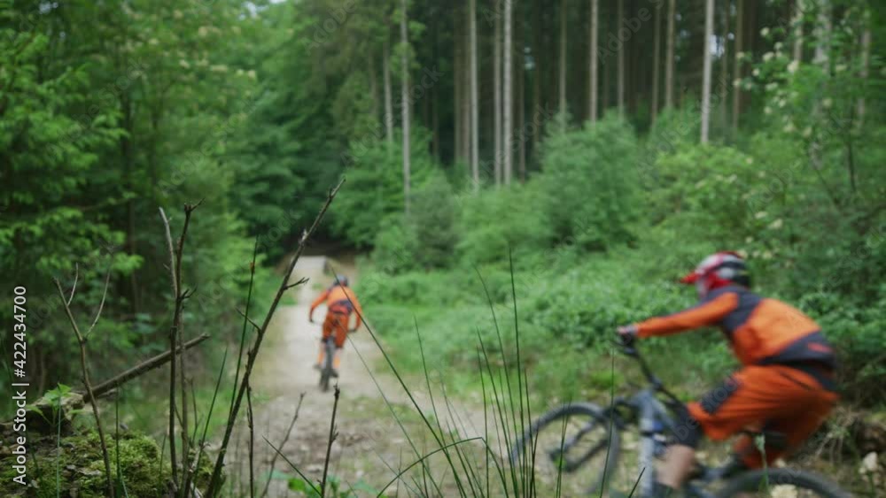 mountainbikers are jumping downhill in the forest