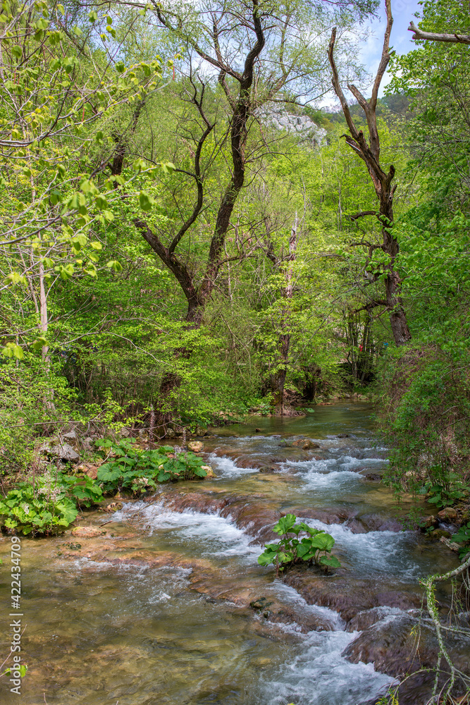 View of the river Nera in Romania surrounded by untouched nature. View of the river Nera in Romania surrounded by untouched nature.