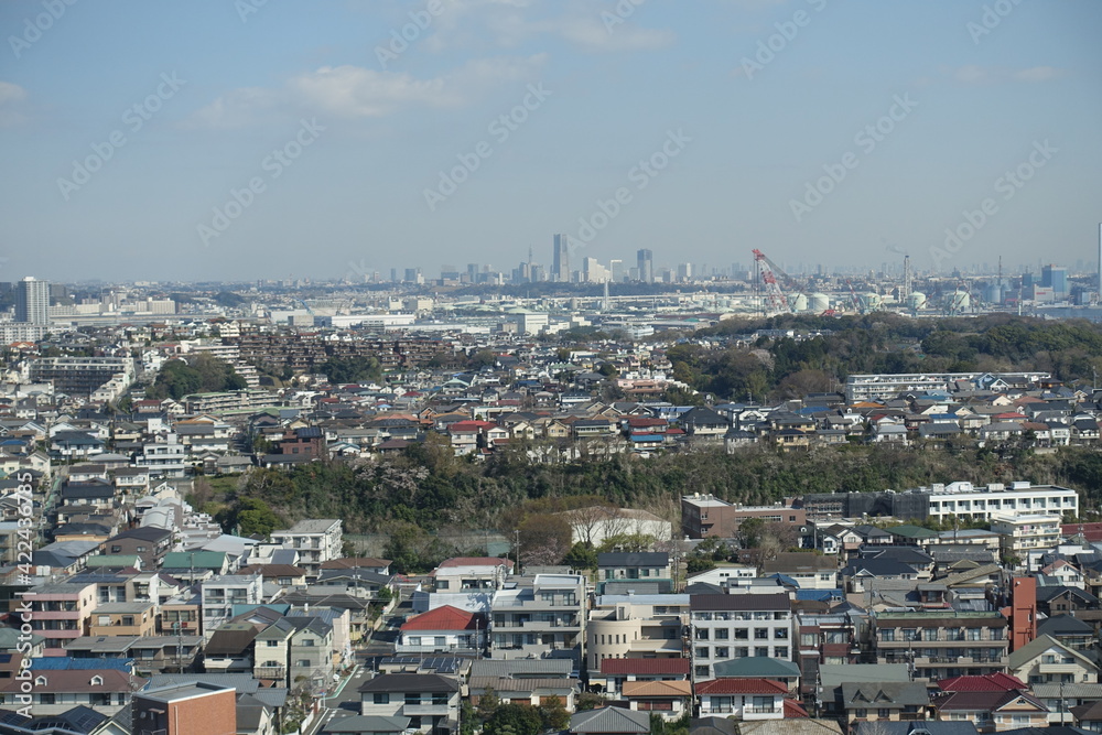 residential area of yokohama city