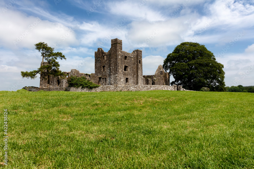 Old tiny castle in Ireland surrounded by grassy fields