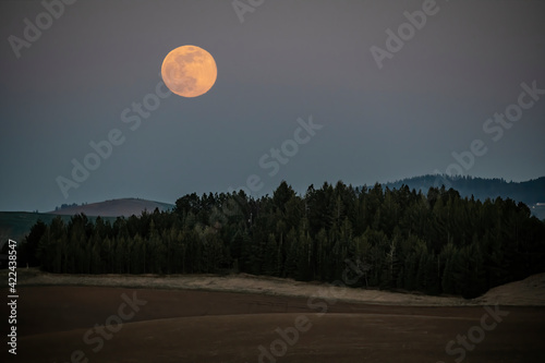 Moonrise Over the Ridge photo