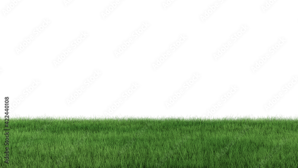 3D Rendering of green grass field on isolated white background